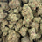 Big Buddha Cheese bulk THCA flower — Plain Jane 1 lb