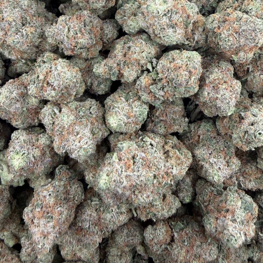 Biscotti Gelato