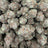 Biscotti Gelato bulk THCA flower — Plain Jane 1 lb