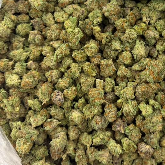 Black Amber bulk THCA flower — Plain Jane 1 lb