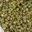 Black Amber bulk THCA flower — Plain Jane 1 lb