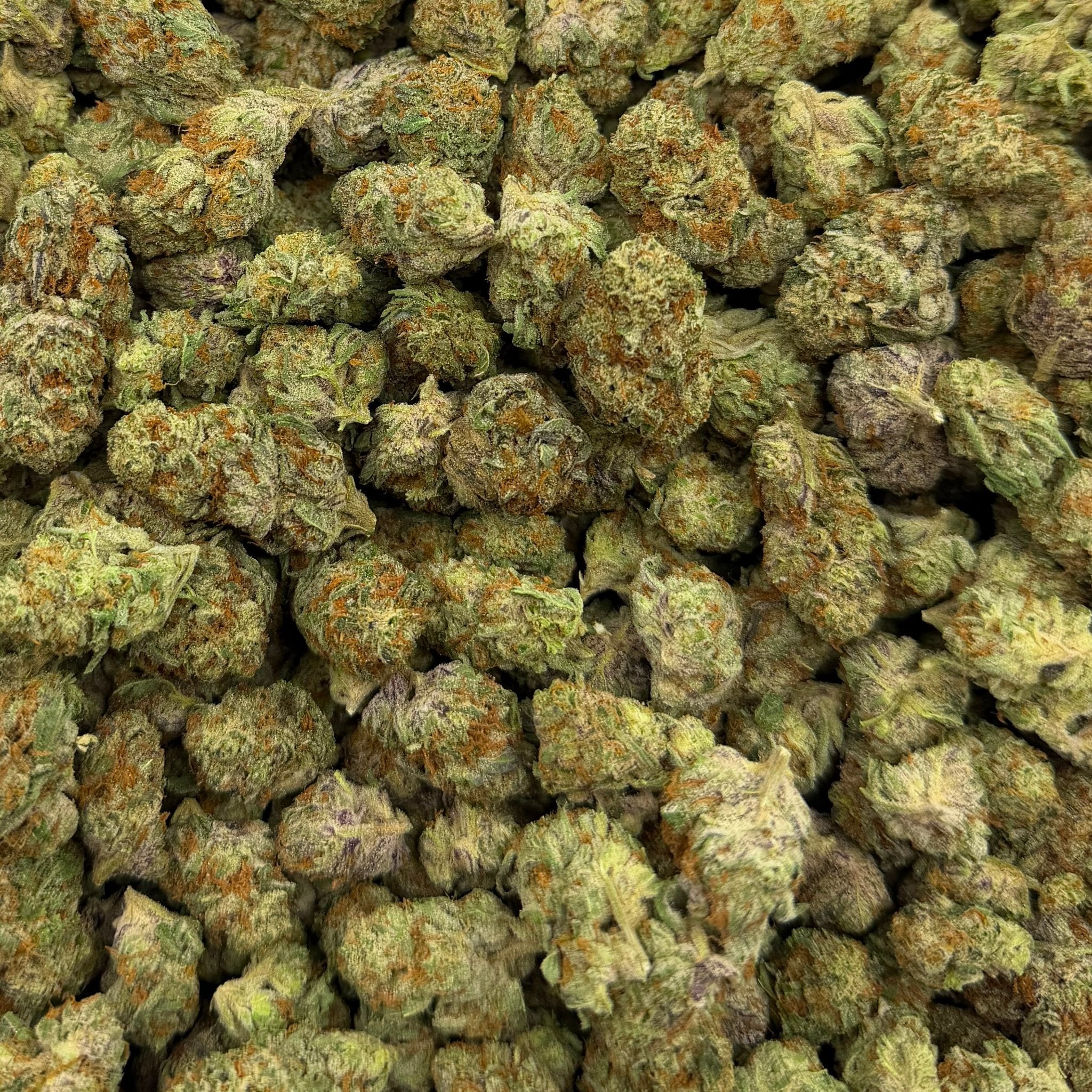 Black Amber bulk THCA flower — Plain Jane 1 lb