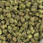 Black Cherry Gelato bulk THCA flower — Plain Jane 1 lb