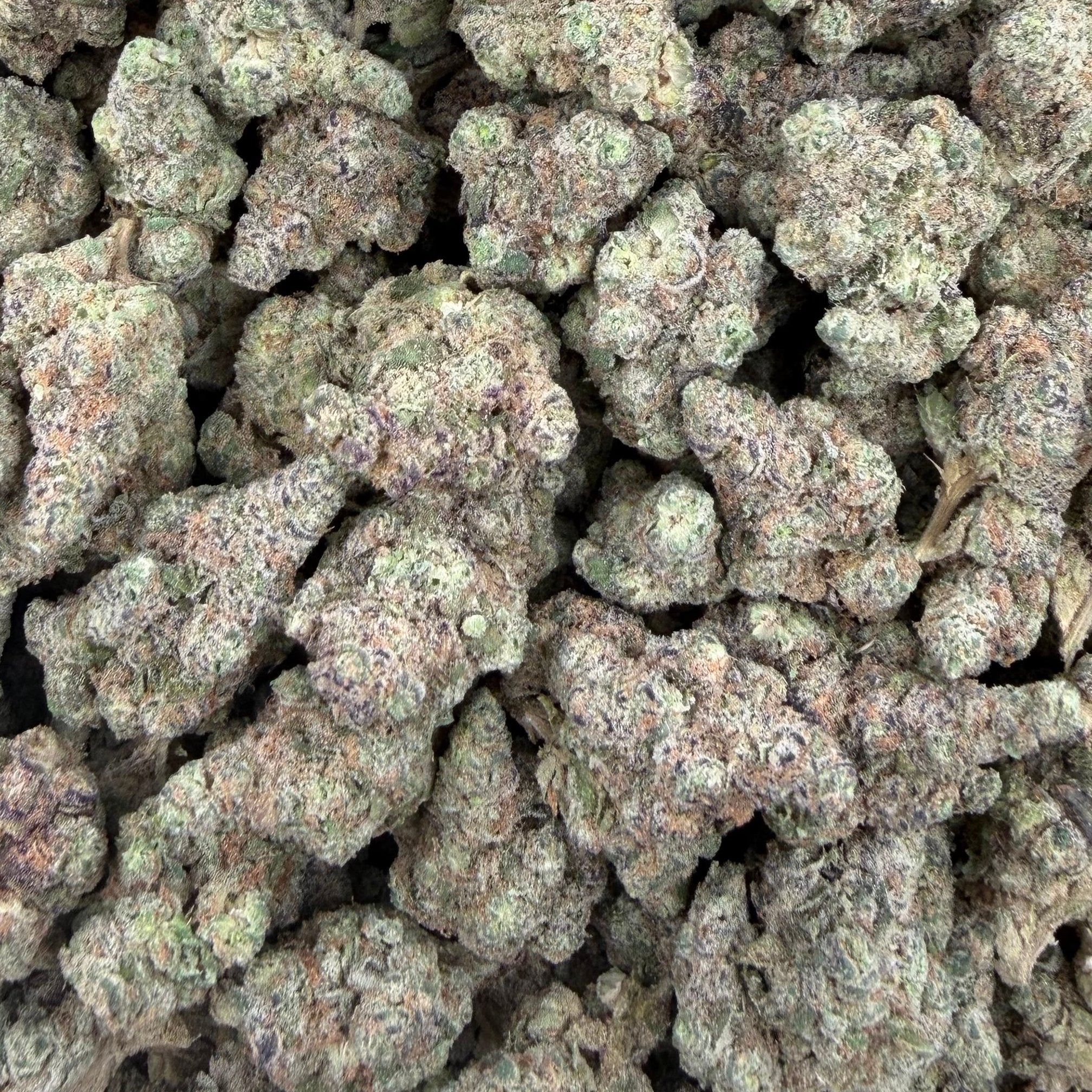 Black Cherry OG bulk THCA flower — Plain Jane 1 lb