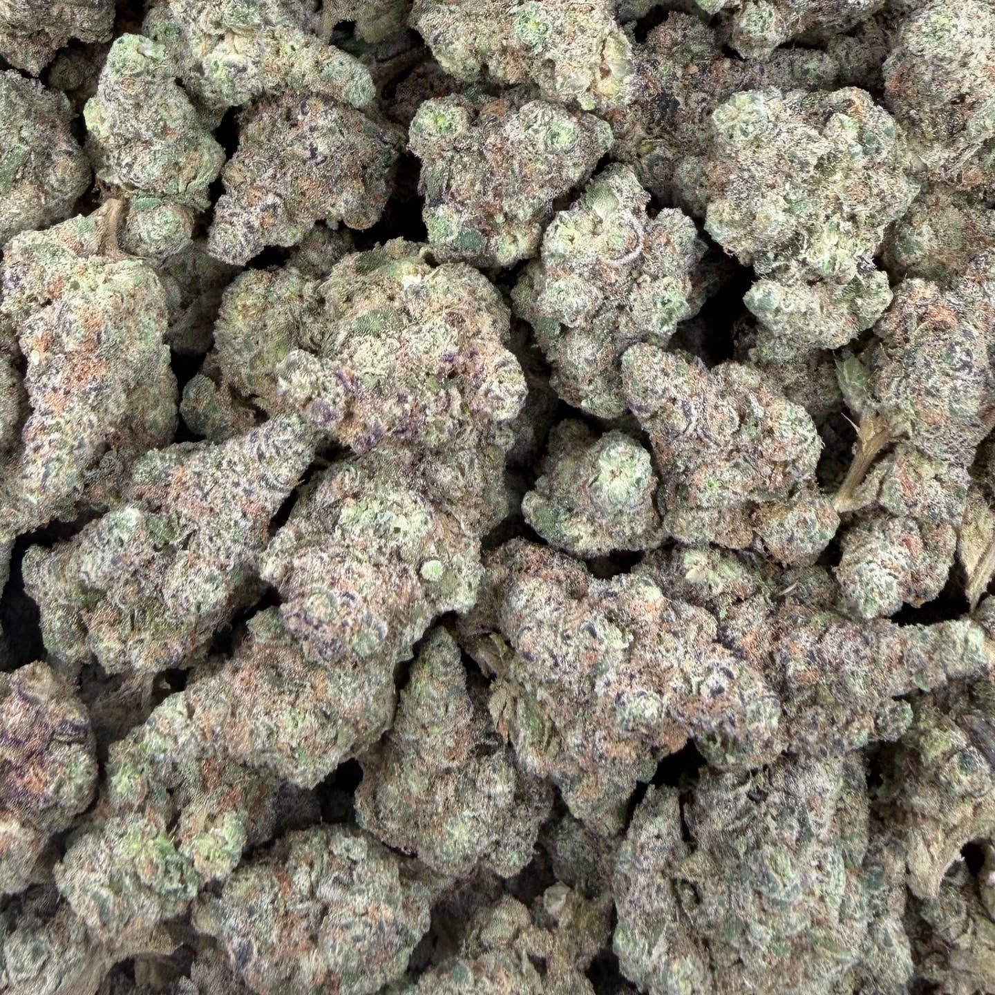 Black Cherry OG bulk THCA flower — Plain Jane 1 lb