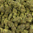 Black Current bulk THCA flower — Plain Jane 1 lb