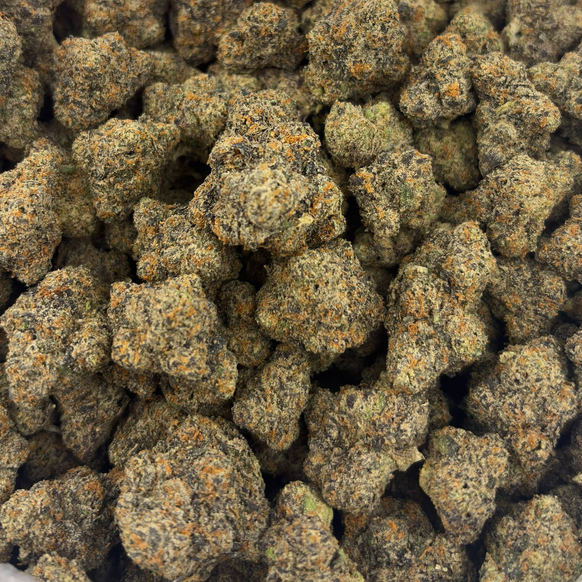 Black Dolphin bulk THCA flower — Plain Jane 1 lb