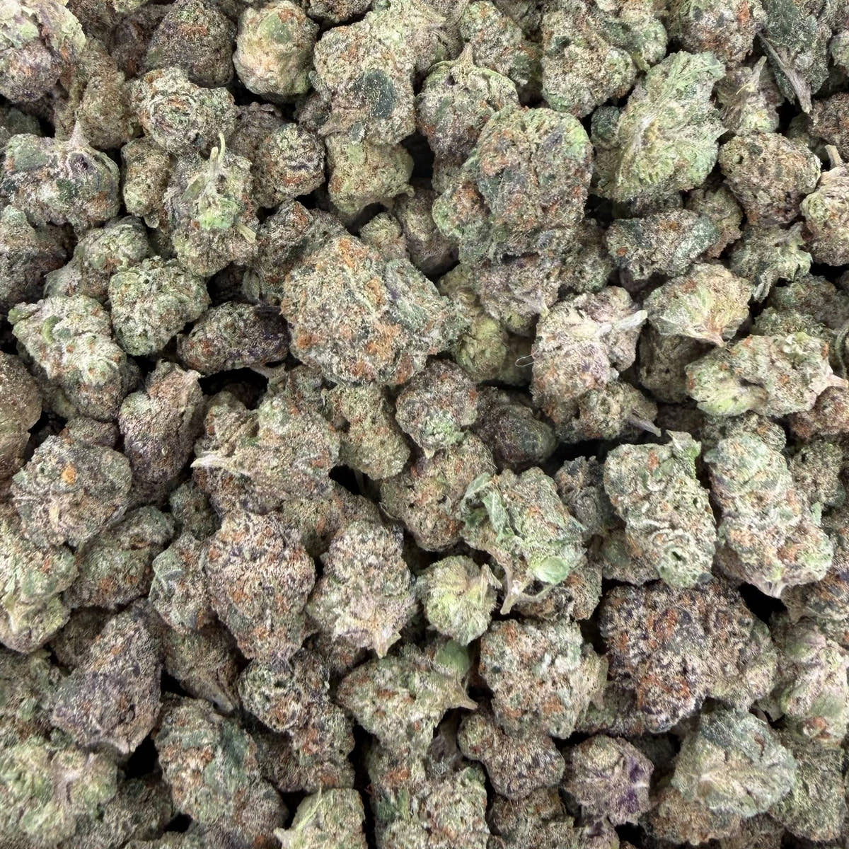 Black Ice bulk THCA flower — Plain Jane 1 lb
