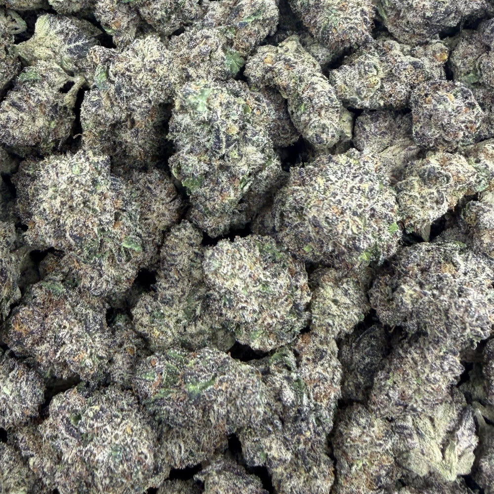 Black Ice