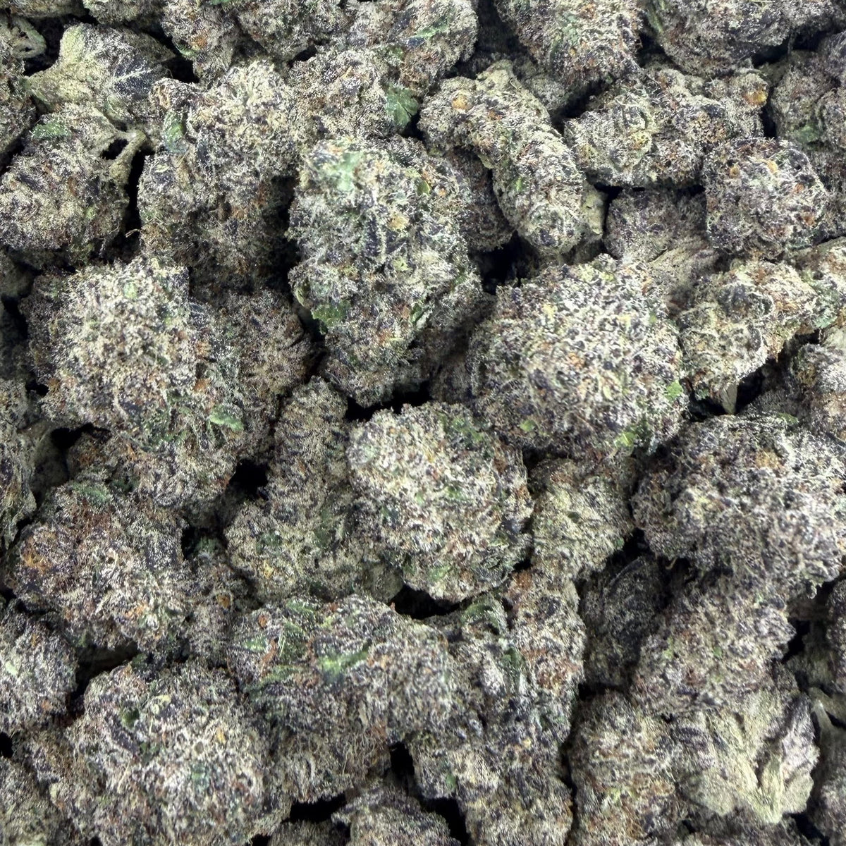 Black Ice bulk THCA flower — Plain Jane 1 lb