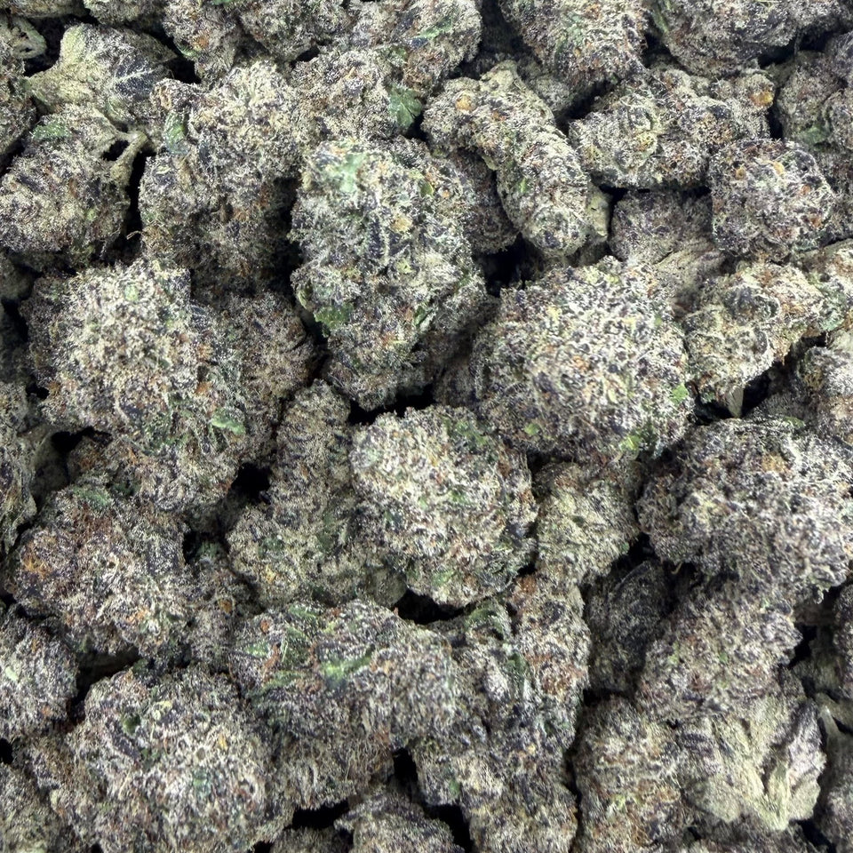Black Ice (Value Indoor) – Bulk THCA Flower 1 lb