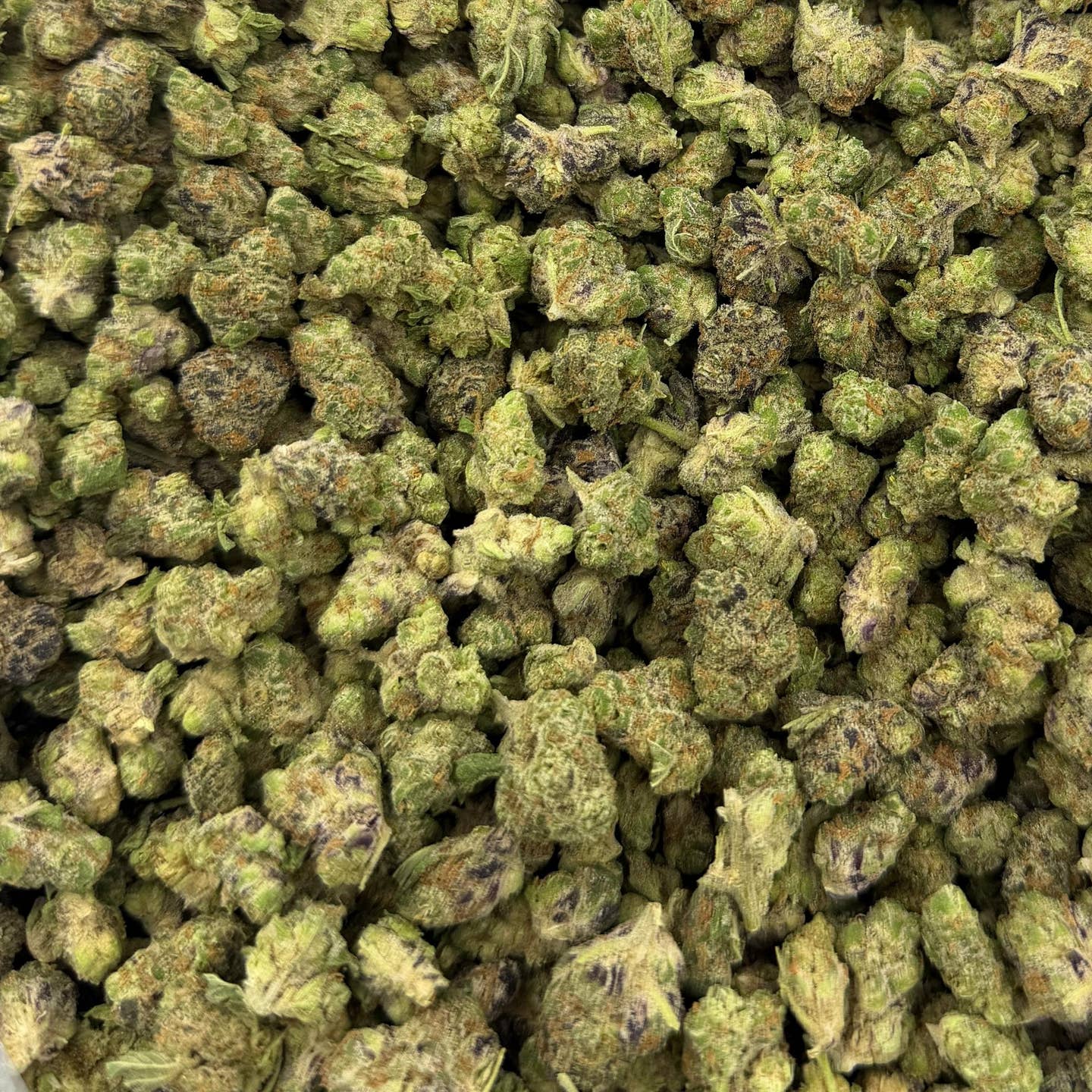 Black Mamba bulk THCA flower — Plain Jane 1 lb