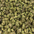 Black Mamba bulk THCA flower — Plain Jane 1 lb