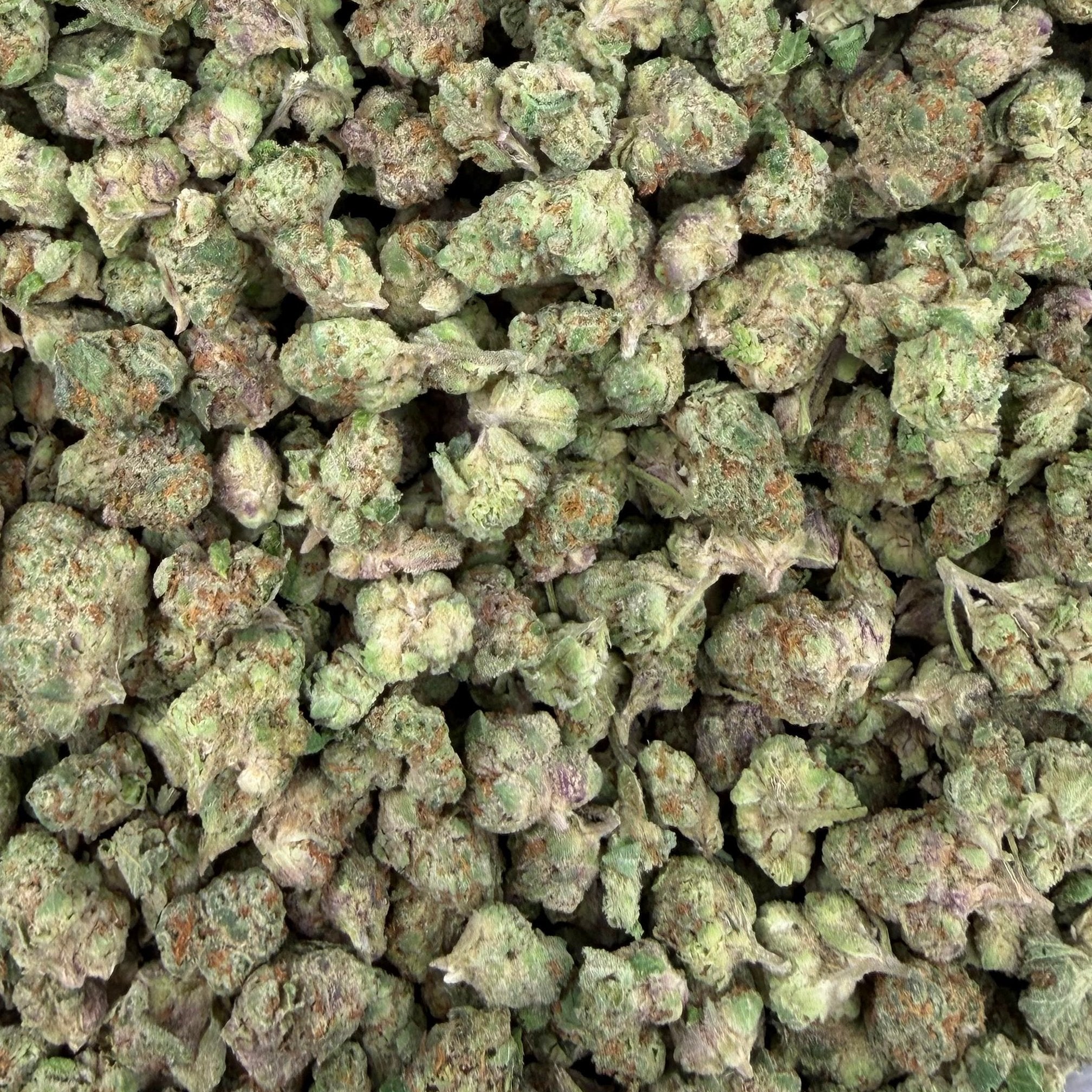 Black Mamba bulk THCA flower — Plain Jane 1 lb