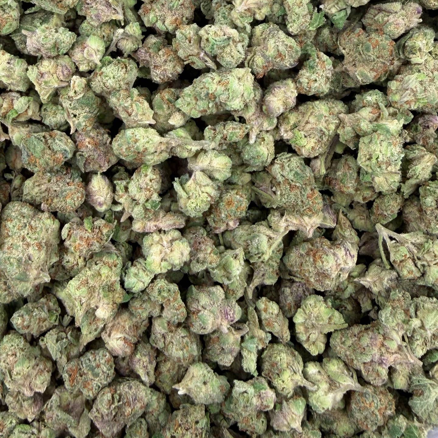 Black Mamba bulk THCA flower — Plain Jane 1 lb