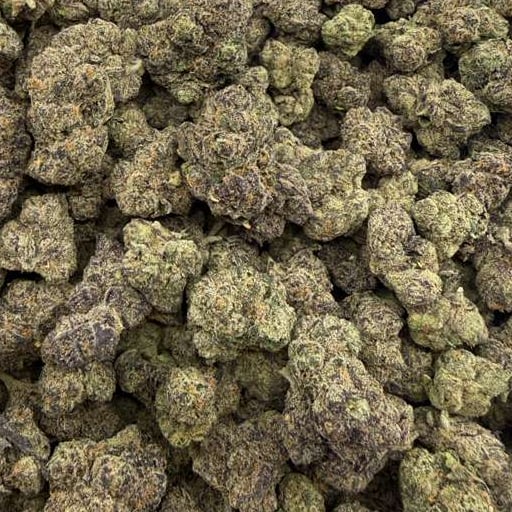 Black Mamba bulk THCA flower — Plain Jane 1 lb