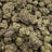 Black Mamba bulk THCA flower — Plain Jane 1 lb