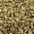 Black Mamba bulk THCA flower — Plain Jane 1 lb