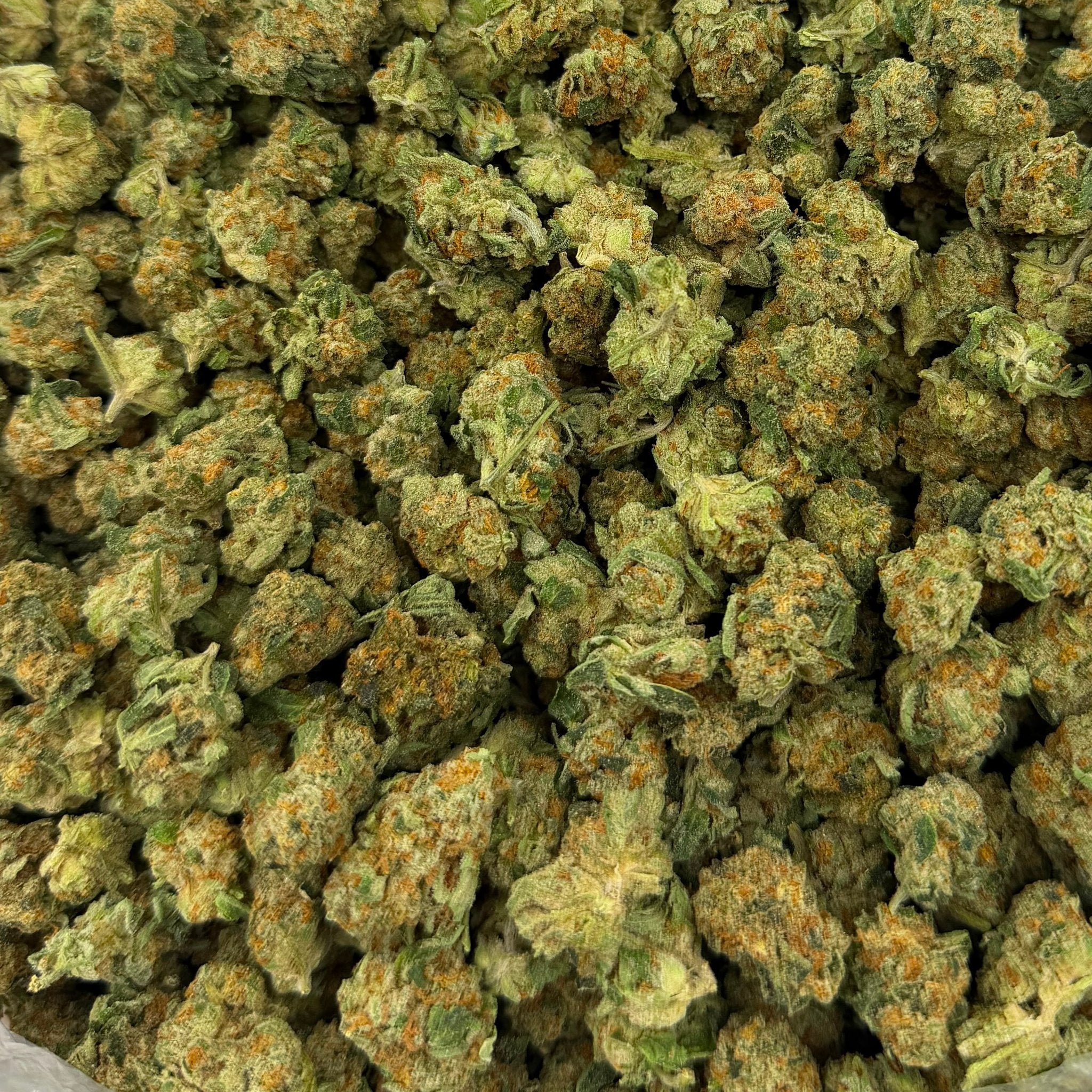 Black Maple bulk THCA flower — Plain Jane 1 lb