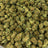 Black Maple bulk THCA flower — Plain Jane 1 lb