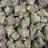 Black Piranha bulk THCA flower — Plain Jane 1 lb