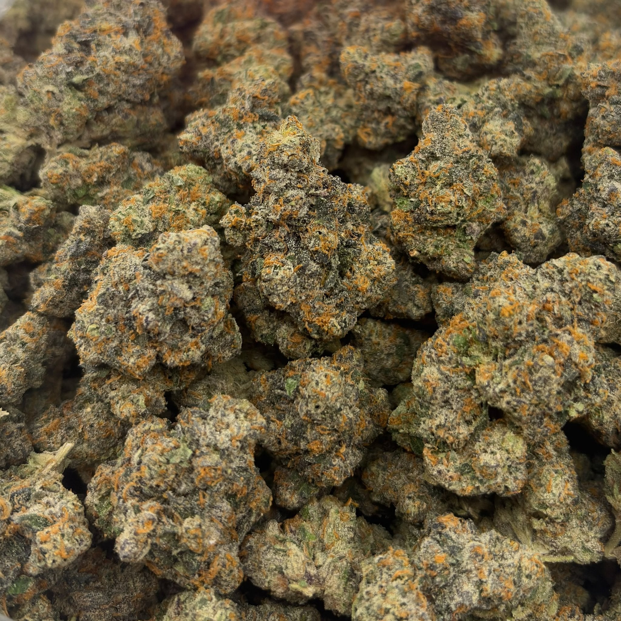 Black Piranha bulk THCA flower — Plain Jane 1 lb