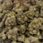 Black Piranha bulk THCA flower — Plain Jane 1 lb