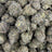 Black Top Gelato bulk THCA flower — Plain Jane 1 lb