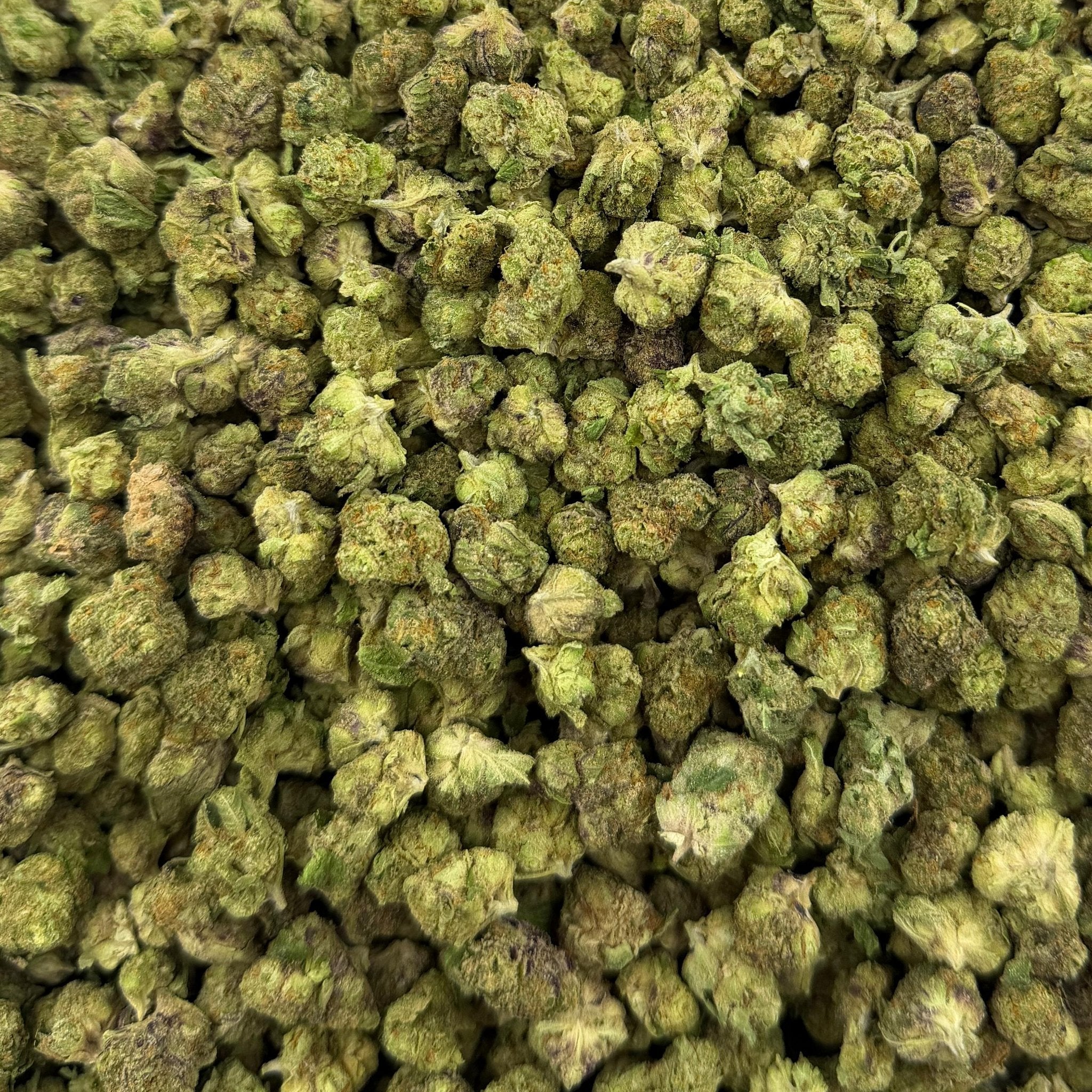 Black Truffle bulk THCA flower — Plain Jane 1 lb