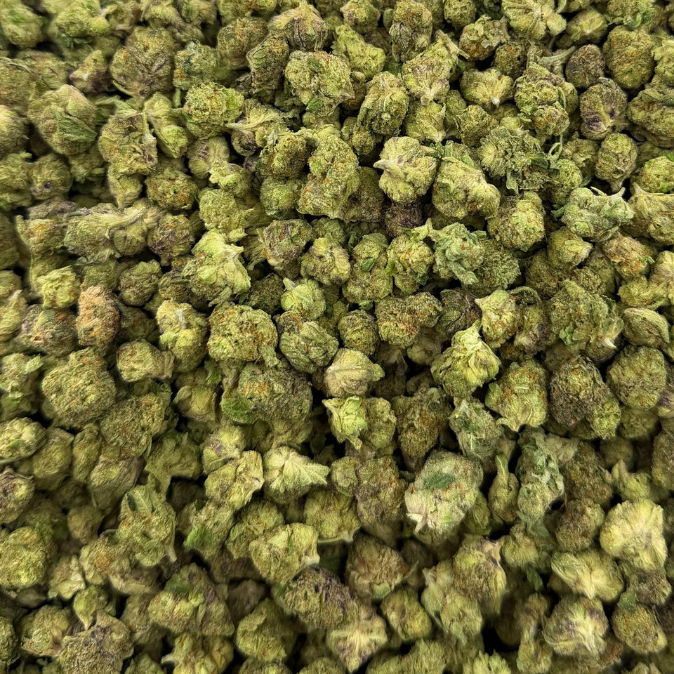Black Truffle (Indoor Smalls) – Bulk THCA Flower 1 lb