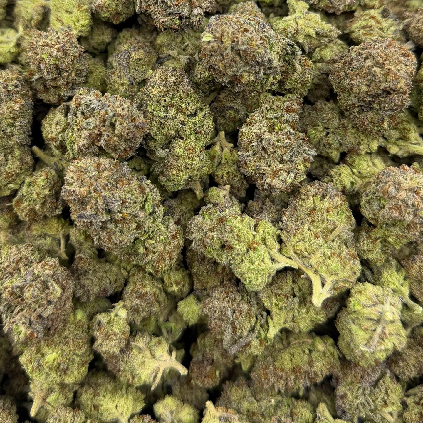 Black Truffle bulk THCA flower — Plain Jane 1 lb