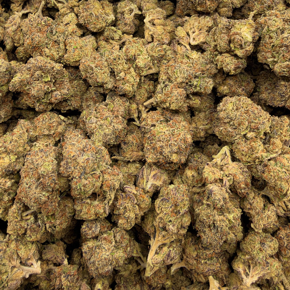 Black Truffle