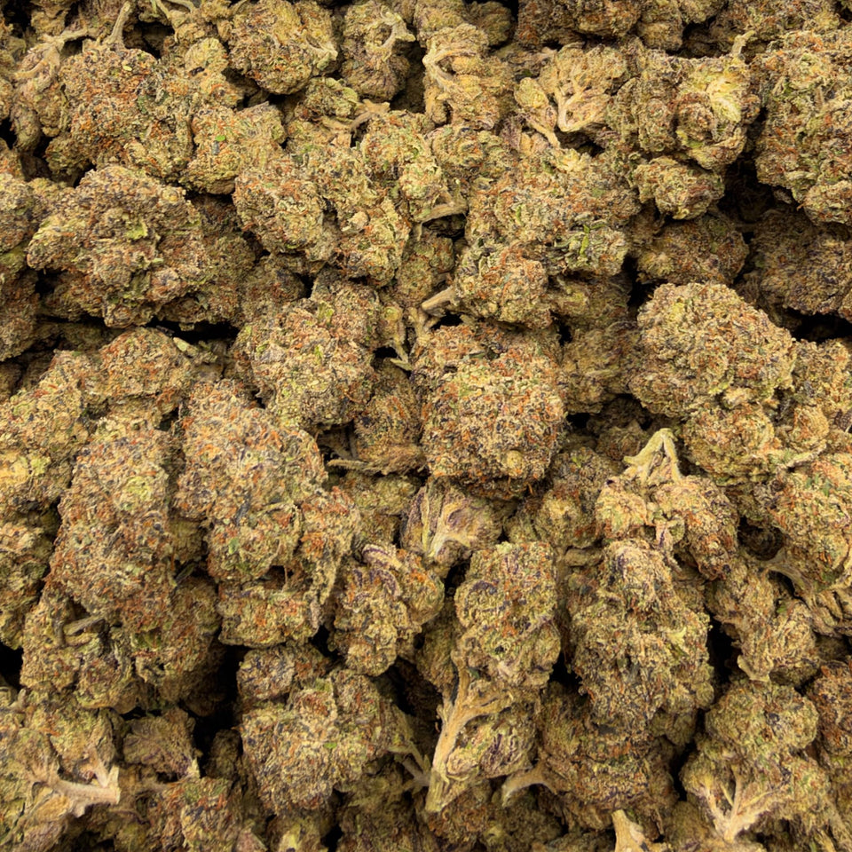 Black Truffle (Light-Assisted) – Bulk THCA Flower 1 lb