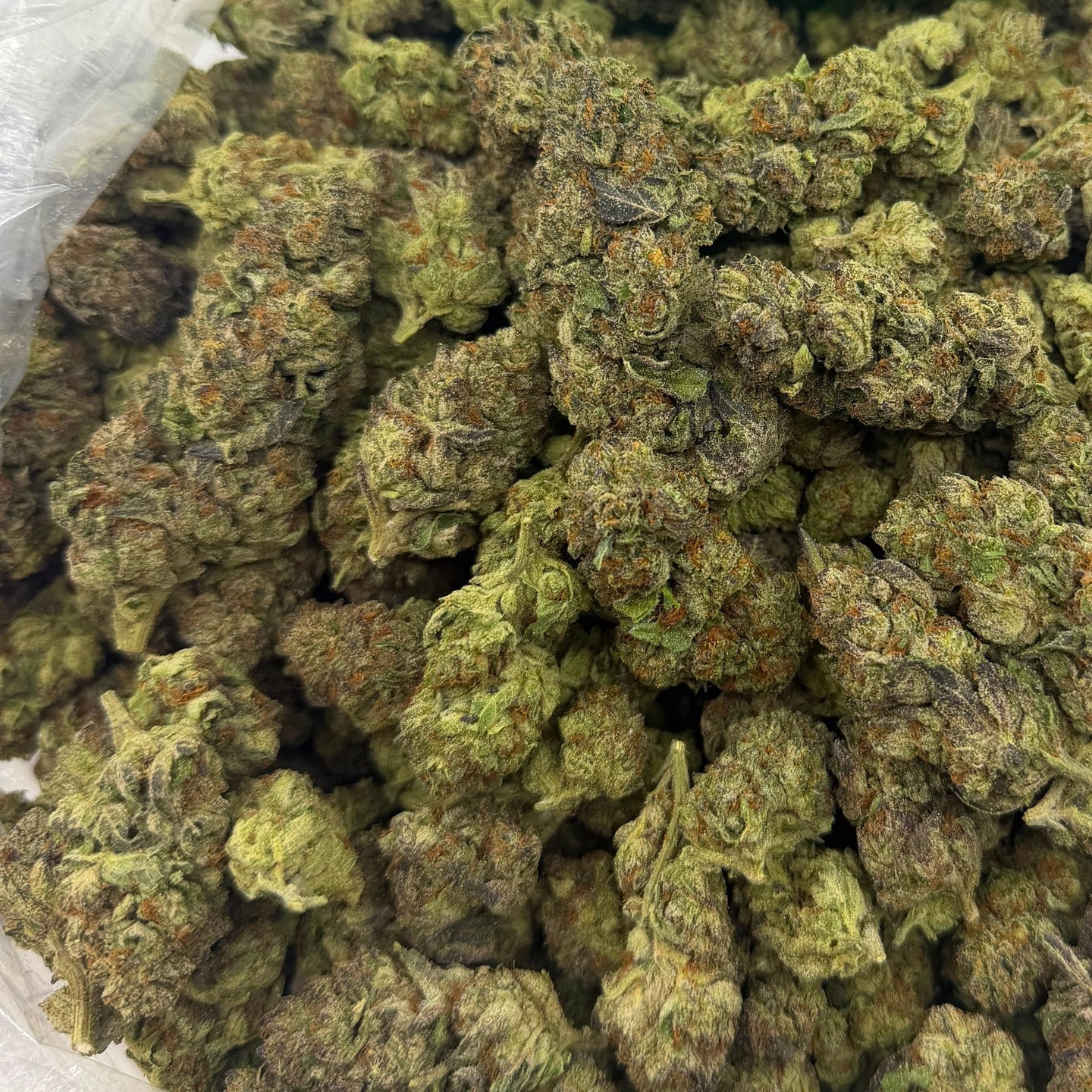 Black Velvet bulk THCA flower — Plain Jane 1 lb