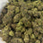 Black Velvet bulk THCA flower — Plain Jane 1 lb