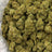 Blackout Berries bulk THCA flower — Plain Jane 1 lb