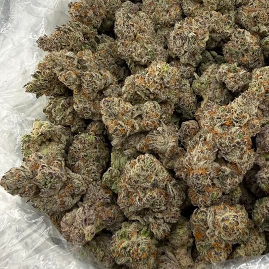 Blizzard King bulk THCA flower — Plain Jane 1 lb