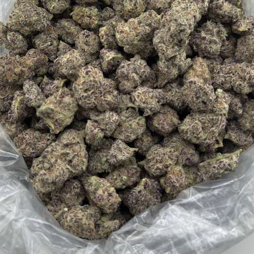 Blizzard King bulk THCA flower — Plain Jane 1 lb