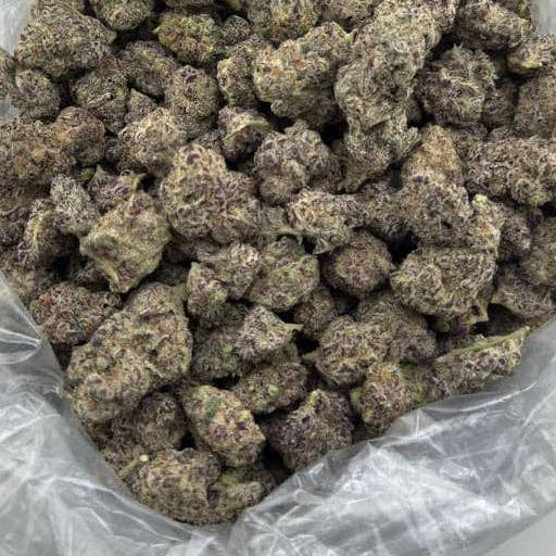 Blizzard King bulk THCA flower — Plain Jane 1 lb