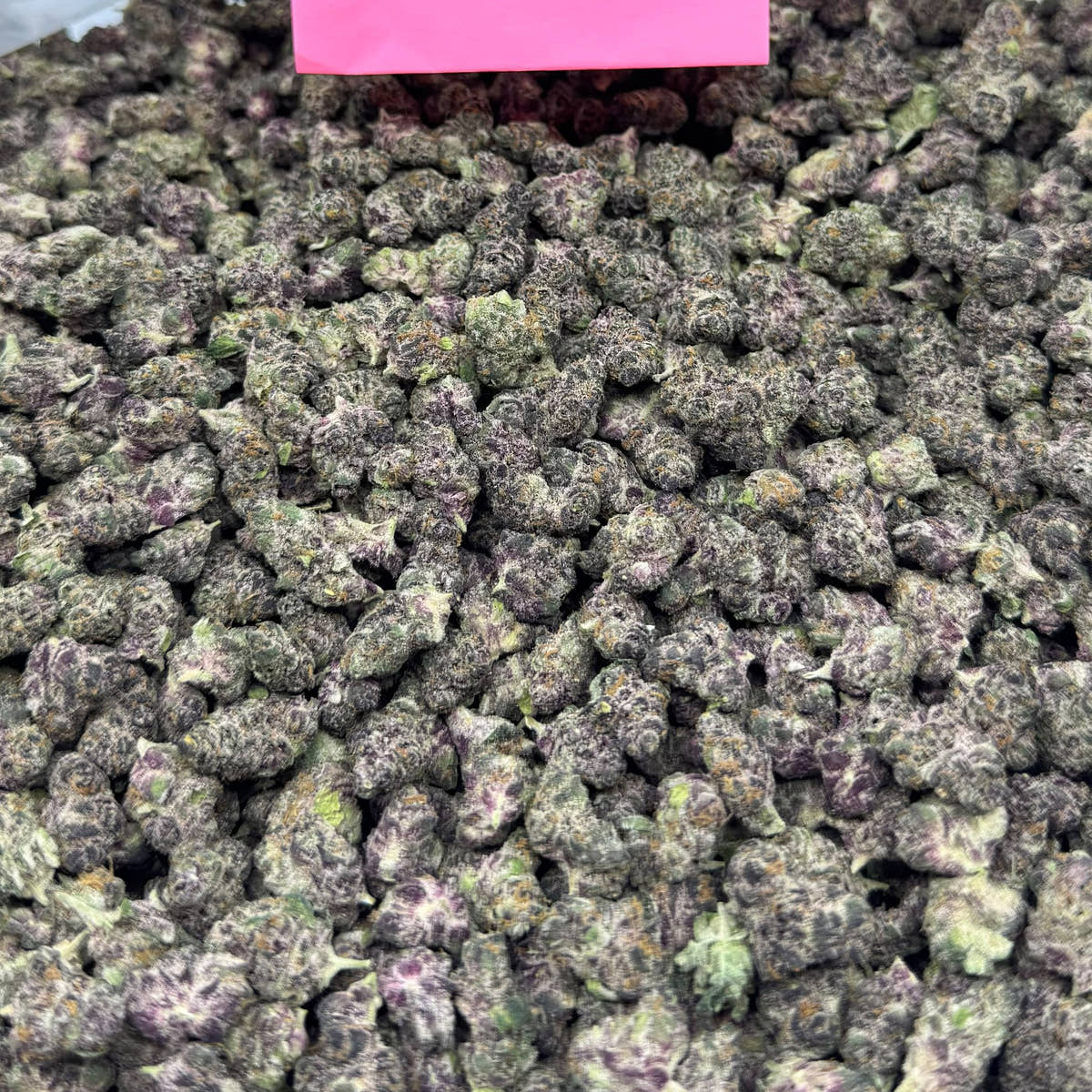 Blockberry bulk THCA flower — Plain Jane 1 lb