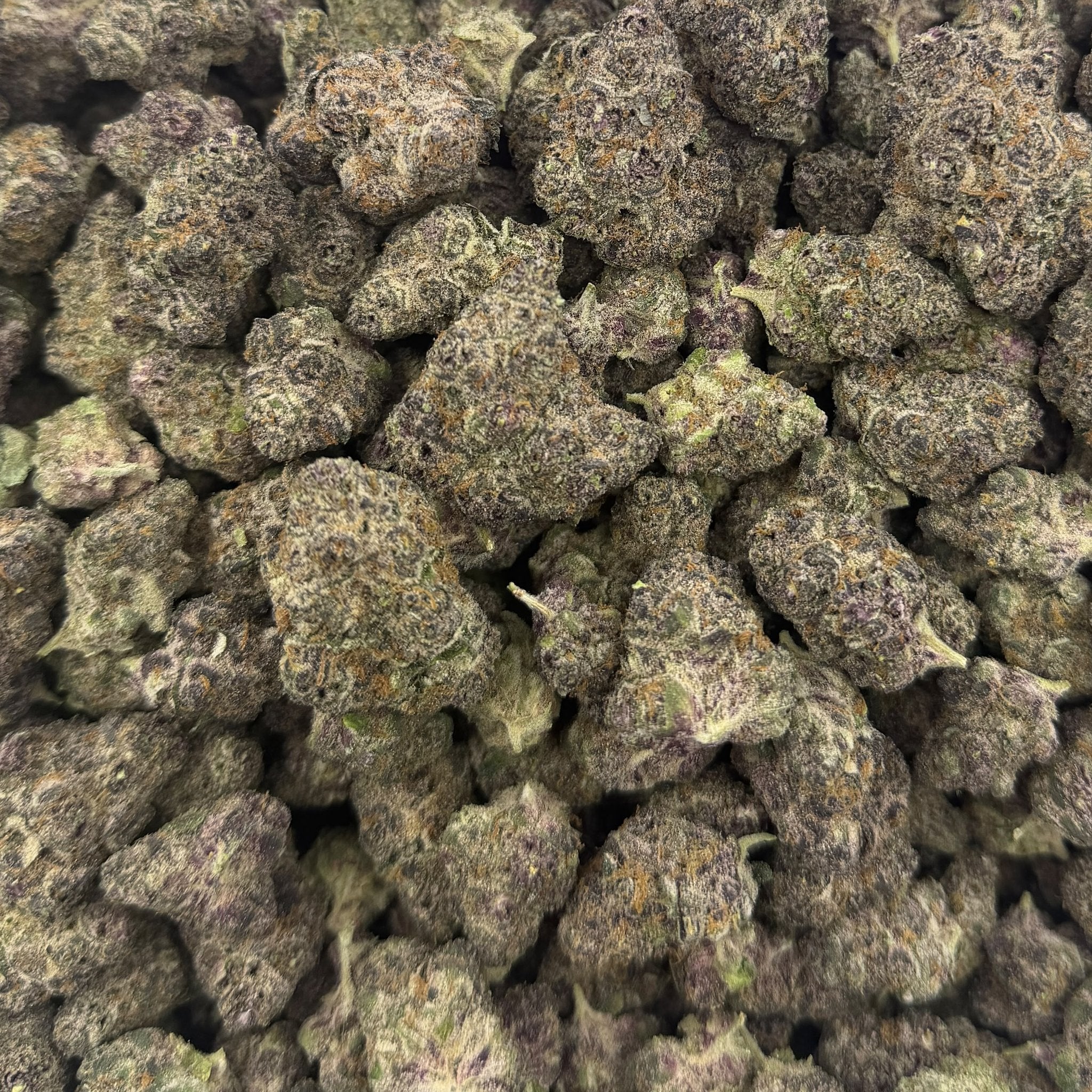 Blockberry bulk THCA flower — Plain Jane 1 lb