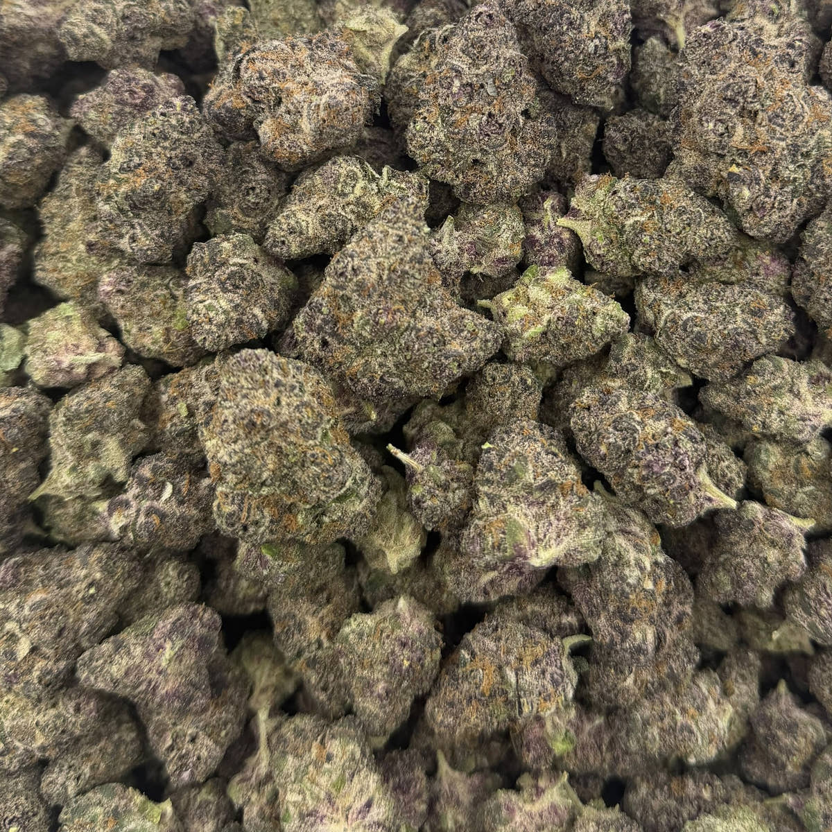 Blockberry bulk THCA flower — Plain Jane 1 lb