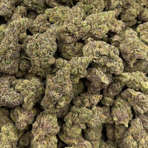 Blue Burst bulk THCA flower — Plain Jane 1 lb