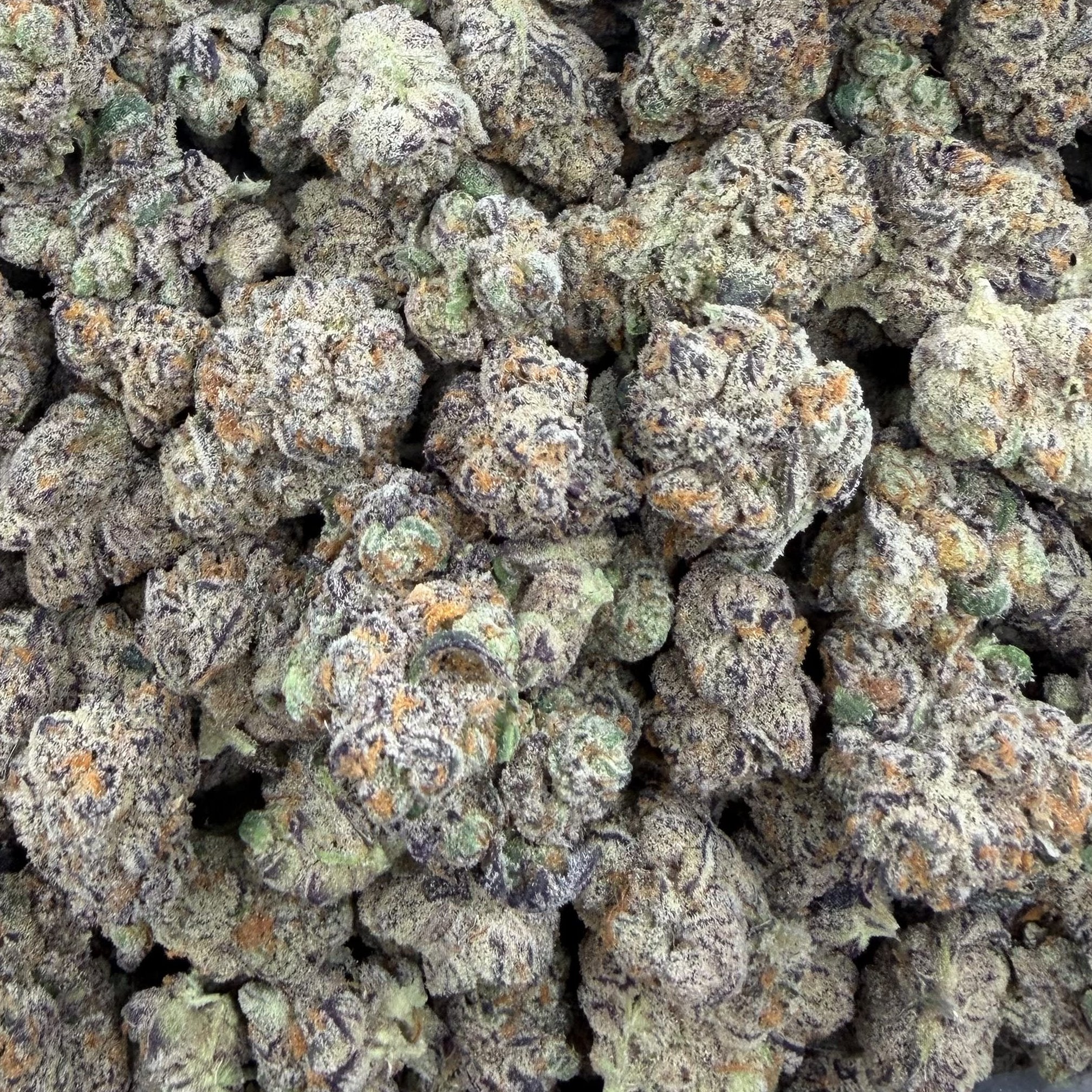 Blue Burst bulk THCA flower — Plain Jane 1 lb