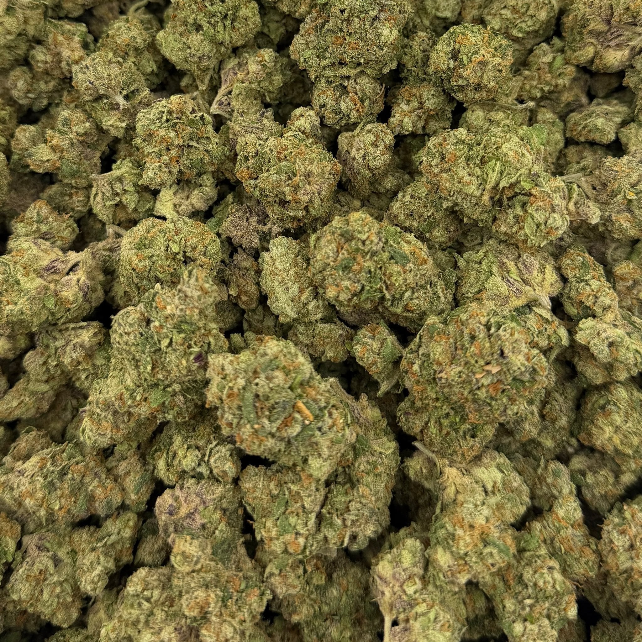 Blue Candy Gummies bulk THCA flower — Plain Jane 1 lb
