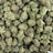 Blue Cookies bulk THCA flower — Plain Jane 1 lb
