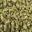 Blue Cookies bulk THCA flower — Plain Jane 1 lb