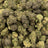 Blue Cookies bulk THCA flower — Plain Jane 1 lb