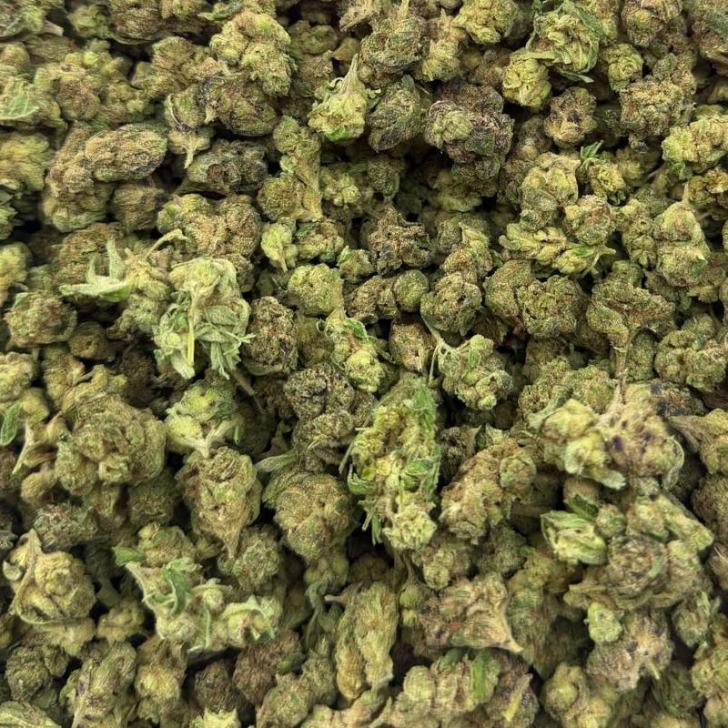 Blue Diamonds bulk THCA flower — Plain Jane 1 lb
