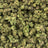 Blue Diamonds bulk THCA flower — Plain Jane 1 lb